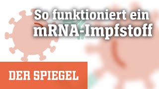 Corona Wie funktioniert ein mRNAImpfstoff  DER SPIEGEL [upl. by Nosa]