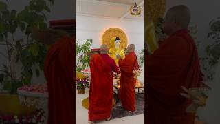 Bhante ji worshipping Tathagata Gautam Buddha shakyamunibuddha shakyamunibiographyofbuddh563 [upl. by Ovid252]