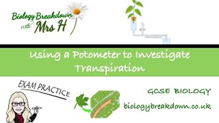 Using a Potometer to Investigate Transpiration with Exam Questions [upl. by Buna]