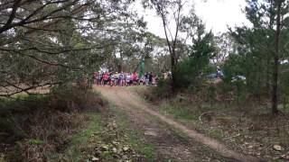 Mt Hayfield 2016 Short course starters [upl. by Saidel808]