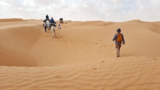 202410  Tunisie  Randonnée chamelière de Ksar Ghilan à Douz [upl. by Romulus724]