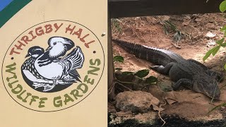 Visit Thrigby Hall Wildlife Gardens Autumn Vlog 2024 [upl. by Helbon755]