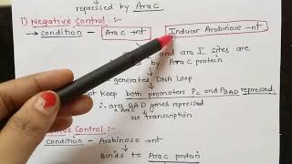 Arabinose Operon Part 3 Dr Preeti Dharmik [upl. by Ynnej]