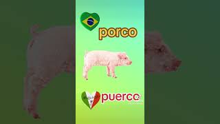 🇧🇷porco vs puerco 🇲🇽 [upl. by Nikral452]