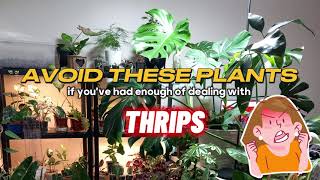 ThripsProne Plants Alert [upl. by Elfstan]