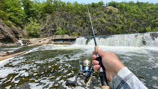 This River Dam is LOADED with Fish [upl. by Ignaz]