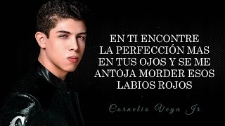 LETRA ¨CUANDO ESTES CONMIGO¨  Cornelio Vega Jr Lyric Video [upl. by Nosned]