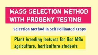 Mass selection with progeny test Mass selection method in self pollinated crops [upl. by Mccartan945]