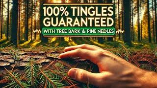 100 Tingles Guaranteed  Nature ASMR with Tree Bark amp Pine Needles [upl. by Netsruk]