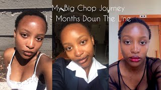 My Big Chop Journey  11 Months Down The Line [upl. by Llednohs]