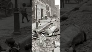 NYSD THE STRONGEST historybrooklyn [upl. by Menedez]