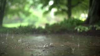 Rain Sounds 15 seconds soundtrack [upl. by Newbill]