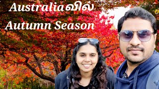 💥🇦🇺 Australiaவில் Autumn Season🍁🍂 இவ்வளவு அழகா   Sydney தமிழ் Family  Australia Tamil Vlogs [upl. by Parsons]