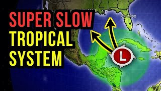 Tropical System is Very Slow [upl. by Lyndy]