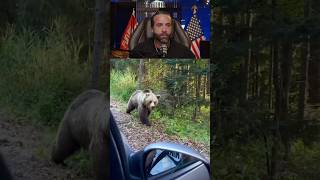 Man Tries to Feed a Grizzly BearInstantly Regrets It [upl. by Elyrpa]