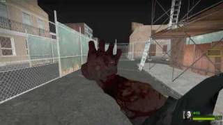 L4d2 hidden animation [upl. by Hteazile]