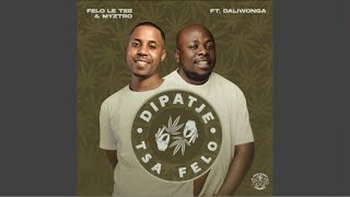 Felo Le Tee amp Myztro  Dipatje Tsa Felo Official Audio feat Daliwonga [upl. by Akeylah]