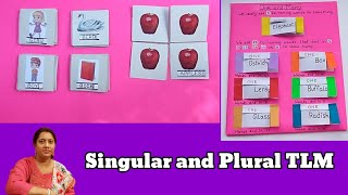 Singular and Plural TLM  Teaching and Singular and Plural  English Grammar Teaching Aids [upl. by Nolyag759]