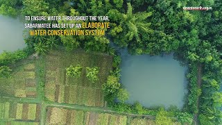 How a farmer turned 90 acres of wasteland into a lush green forest in Odisha [upl. by Aerua893]