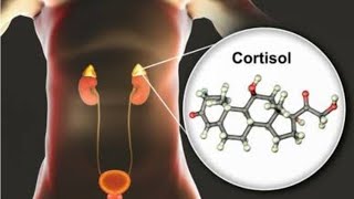 Is Your Cortisol Out of Whack Discover the Symptomsquot [upl. by Dearr833]