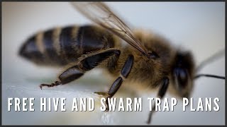 Cheap and easy way to raise bees naturally with Dr Leo Sharashkin [upl. by Aicineohp]