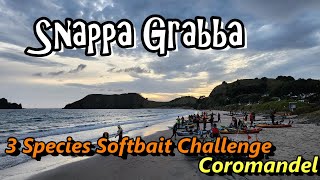 3 Species Softbait Challenge 2023 NZ  Snappa Grabba kayak Fishing [upl. by Ynnub10]