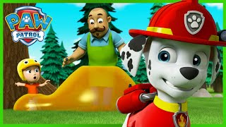 Marshall saves campers covered in sticky syrup and more  PAW Patrol Episode  Cartoons for Kids [upl. by Ratcliffe557]