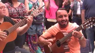 Fete des Gitans 2014Gypsymusic Saintes Maries de la Mer [upl. by Eniamrehs]