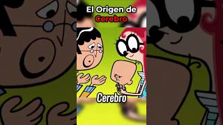 EL ORIGEN DE CEREBRO dexterlaboratory caricaturas [upl. by Binnings]