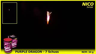 Purple Dragon 7SchussFeuerwerkBatterie [upl. by Lowenstern]