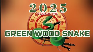 2025 CHINESE HOROSCOPE overview 2025 is the year of the green wood snake horoscope prediction 2025 [upl. by Nodyroc835]