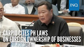 Carpio cites PH laws on foreign ownership of businesses [upl. by Howlan]