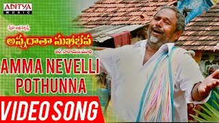 Amma Nevelli Pothunna Video Song  Annadata Sukhibhava Songs  RNarayana Murthy [upl. by Bora777]