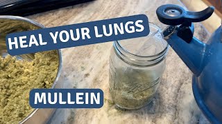 Boost Your Lung Health Naturally A StepbyStep Guide to Making Mullein Tea [upl. by Eniamart914]