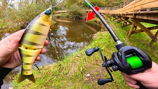 Cette petite rivière bretonne cache de GROS POISSONS  Pêche au leurre  feat LéanaFishing [upl. by Odrareve]