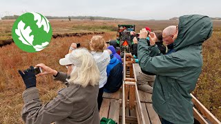 Twenty Years of Tallgrass Prairie Restoration at Nachusa Grasslands [upl. by Adis]