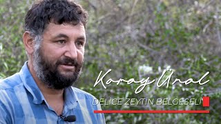 Delice Zeytin Belgeseli korayunal yönetmen 4k [upl. by Atiniv]