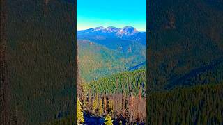 Searching October Pacific Northwest lifeColville National Forest [upl. by Eelrefinnej]