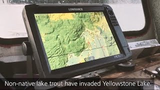 Gillnetting Lake Trout in Yellowstone National Park [upl. by Anileva]