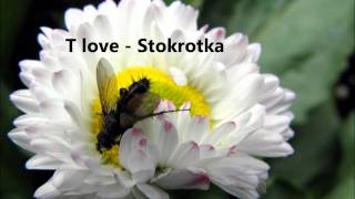 T love  stokrotkawmv [upl. by Aerdnua]