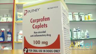 Carprofen Caplets for Dogs  Video  Allivet [upl. by Uolyram202]