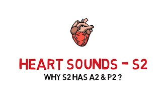 HEART SOUNDS  S2❤️why S2 has A2 amp P2  ENGLISH [upl. by Enyledam]