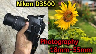 Nikon D3500 Photography 18mm55mm Nikon D3500 Review [upl. by Adnilrem]