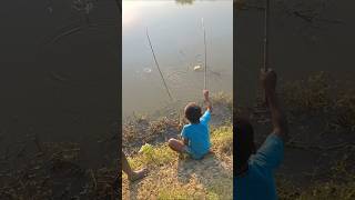 Amazing Two Boys catching big fish by hook trap trapfishing catchfish hookfishing shorts [upl. by Ochs]