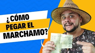 ¿Cómo pegar el marchamo correctamente [upl. by Gniy]