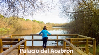 Palacio del Acebrón  Doñana [upl. by Gierk286]