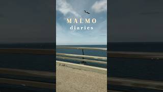 Exploring Malmö amp Crossing the Iconic Oresund Bridge  A Day to Remember shorts travel [upl. by Adanar896]