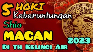 5 HOKI SHIO MACAN di tahun KELINCI Air  ELEMEN AIR th 2023  IMLEK 2575 [upl. by Klenk]