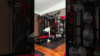 ULTIMATE HOME GYM  Thigh training on TYTAX [upl. by Aidan]