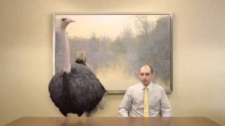 Doritos Crash The SuperBowl  Breakroom Ostrich Commercial [upl. by Elcin]